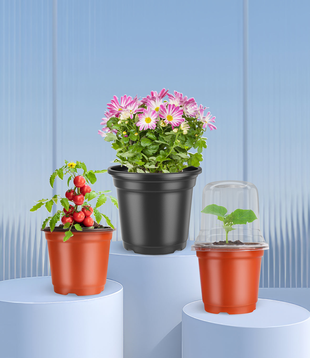 Nursery Pots Series - PEYOU Store